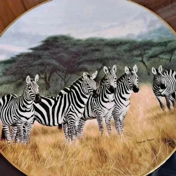 Zebra Undivided attention plate by  Charles France EUC - Picture 2 of 6